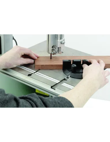 Record Power BS250 10" Bandsaw