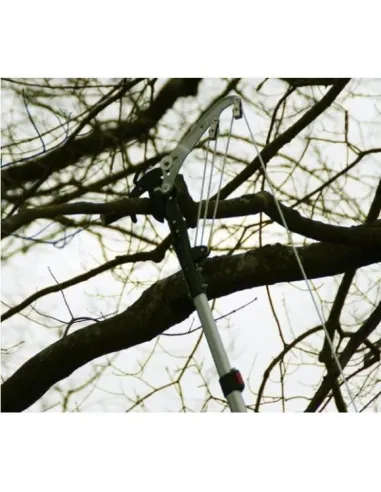Silky Hayauchi Telescoping Pole Saw