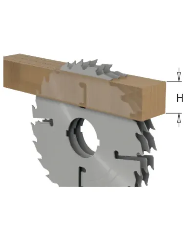 CMT Multi-rip Saw Blade with Rakers