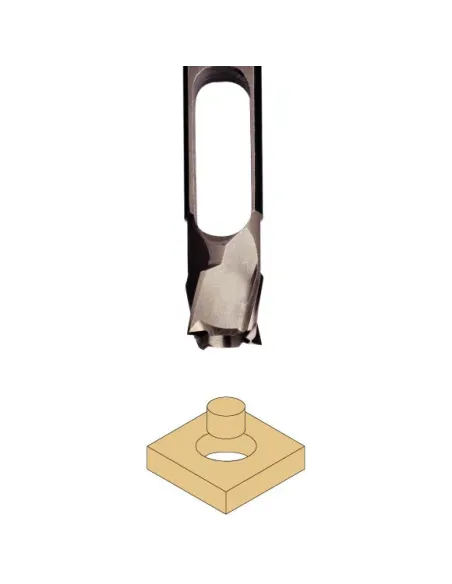 Plug Cutter
