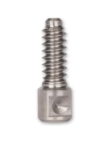 Axminster Woodturning Screws for Woodscrew Chucks 🪚 Premium Woodworking Equipment | JetTools.bg