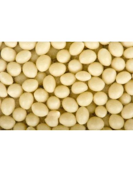 Co-Matic GL 12 Edgebanding Glue Pellets 🪚 Premium Woodworking Equipment | JetTools.bg