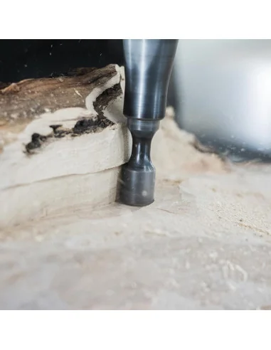 Arbortech Precision Carving System 🪚 Premium Woodworking Equipment | JetTools.bg