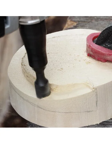 Arbortech Precision Carving System 🪚 Premium Woodworking Equipment | JetTools.bg