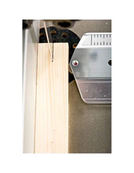 Axminster Workshop Thin Rip Jig 🪚 Premium Woodworking Equipment | JetTools.bg
