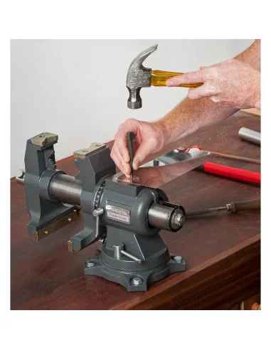 Axminster Trade Vices All Purpose Engineer's Vice 125mm 🪚 Премиум оборудване за дървообработка | JetTools.bg