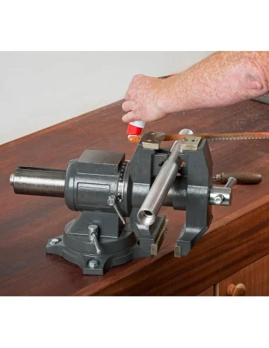 Axminster Trade Vices All Purpose Engineer's Vice 125mm 🪚 Премиум оборудване за дървообработка | JetTools.bg