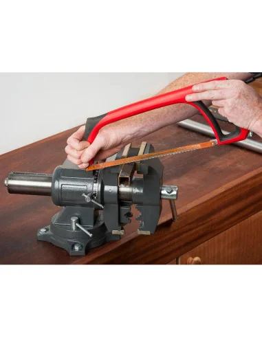 Axminster Trade Vices All Purpose Engineer's Vice 125mm 🪚 Премиум оборудване за дървообработка | JetTools.bg