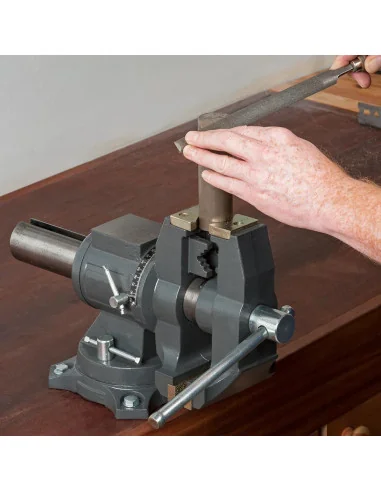 Axminster Trade Vices All Purpose Engineer's Vice 125mm 🪚 Премиум оборудване за дървообработка | JetTools.bg