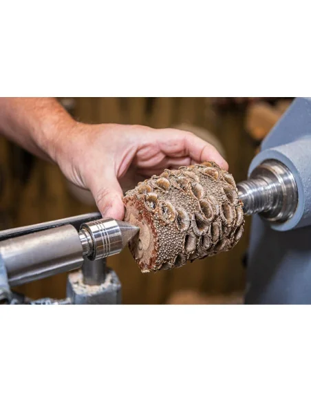 Axminster Woodturning Banksia Nut 🪚 Премиум оборудване за дървообработка | JetTools.bg