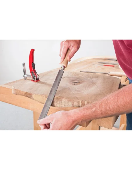 Iwasaki Japanese Carver's File - Half Round Coarse 250mm 🪚 Premium Woodworking Equipment | JetTools.bg