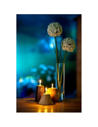 Glass Oil Lights (Set of 4) 🪚 Premium Woodworking Equipment | JetTools.bg