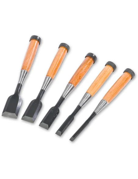 Ice Bear 5 Piece Japanese Oire Nomi Special Alloy Chisel Set 🪚 Premium Woodworking Equipment | JetTools.bg