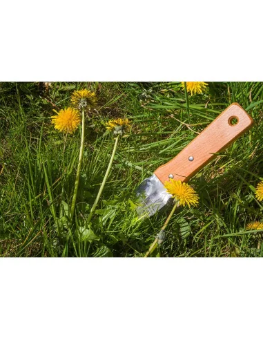 Japanese Stainless Steel Gardener's Trowel 🪚 Премиум оборудване за дървообработка | JetTools.bg