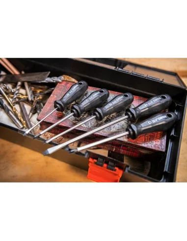 Narex Screwdriver 5 Piece Set 🪚 Premium Woodworking Equipment | JetTools.bg