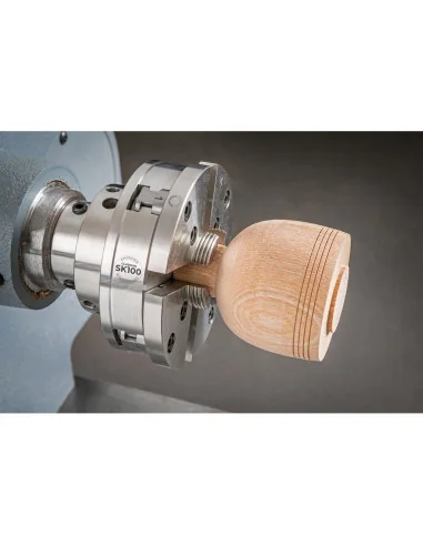 Челюсти Type BF 100mm Small Gripper 🪚 Премиум оборудване за дървообработка | JetTools.bg