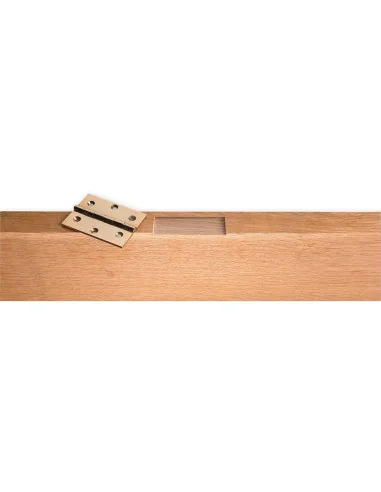 Veritas Hinge Mortice Plane 🪚 Premium Woodworking Equipment | JetTools.bg