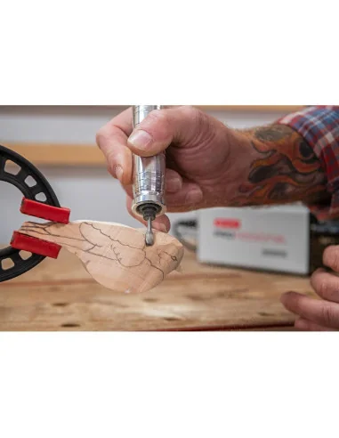Axminster Professional AP250FSG Flexi Shaft Grinder 🪚 Премиум оборудване за дървообработка | JetTools.bg