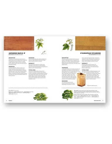 Wood Identification & Use 🪚 Premium Woodworking Equipment | JetTools.bg