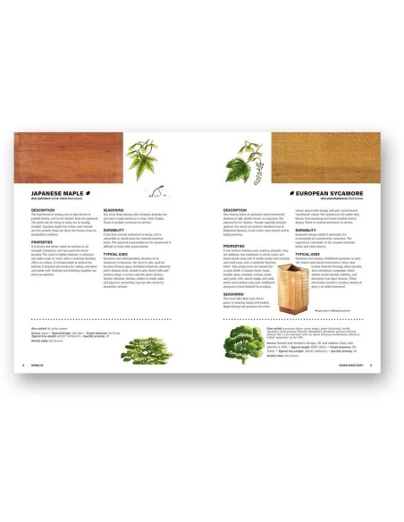 Wood Identification & Use 🪚 Premium Woodworking Equipment | JetTools.bg
