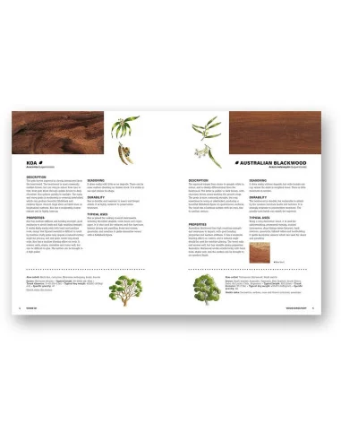 Wood Identification & Use 🪚 Premium Woodworking Equipment | JetTools.bg